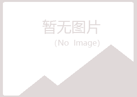 鲁山县漂流服务有限公司